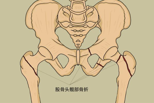 健身房拉伸课视频_健身房男教练拉伸运动_拉伸教练